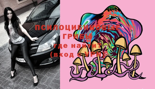 Альфа ПВП Билибино