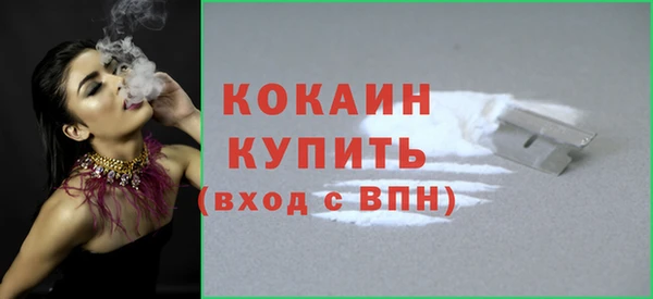 mdpv Белая Холуница