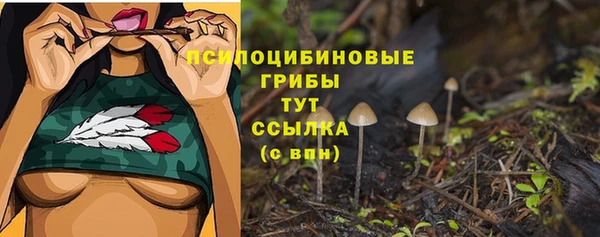 скорость Себеж