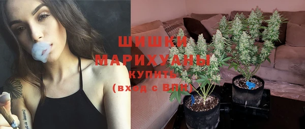 mdpv Белая Холуница
