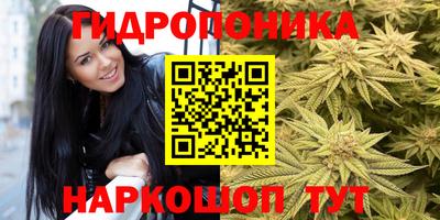 индика Будённовск