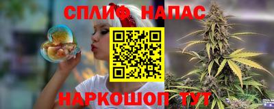 индика Будённовск