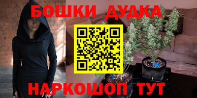 Альфа ПВП Бийск