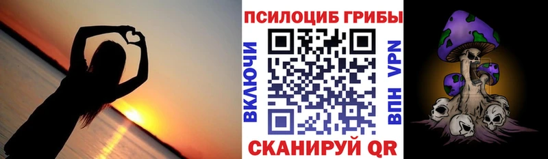 Псилоцибиновые грибы мицелий  что такое   KRAKEN   Гурьевск 
