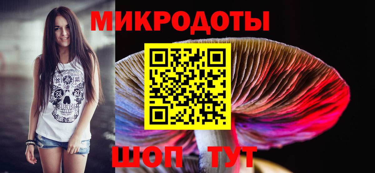 Псилоцибиновые грибы Psilocybine cubensis Гурьевск