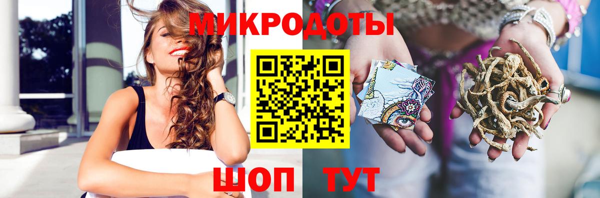 Галлюциногенные грибы Psilocybe  Гурьевск 