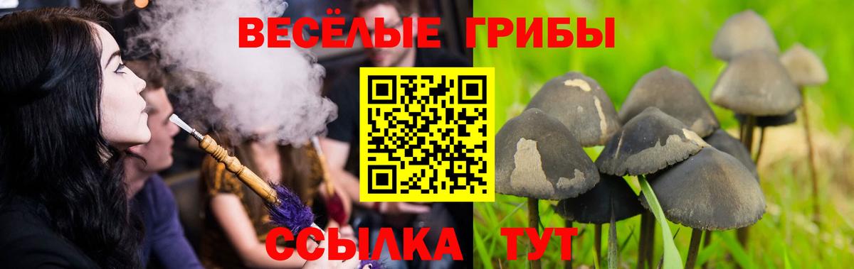 Галлюциногенные грибы мицелий Гурьевск